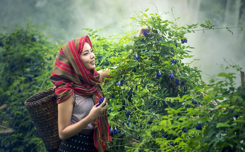 Nature-themed Attire